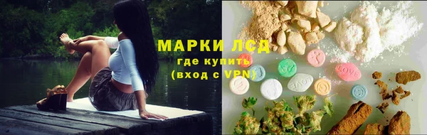 амф Дмитров