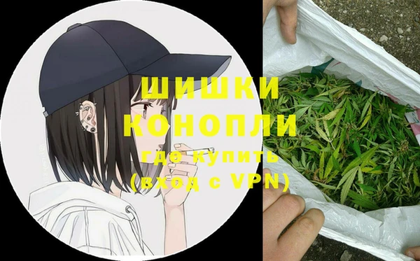спиды Дмитриев