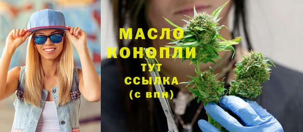 спиды Дмитриев