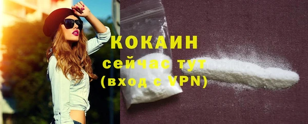 амф Дмитров