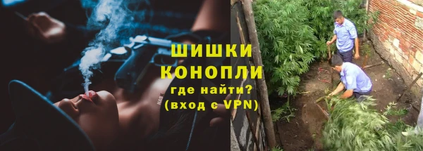 амф Дмитров