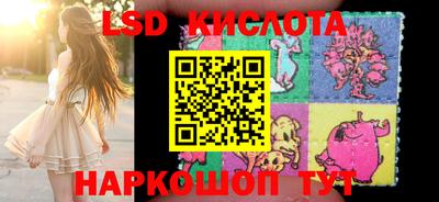 дурь Гатчина