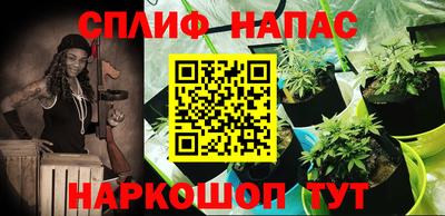 дурь Гатчина