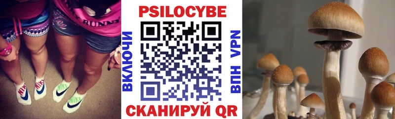 Псилоцибиновые грибы GOLDEN TEACHER  Кимовск 