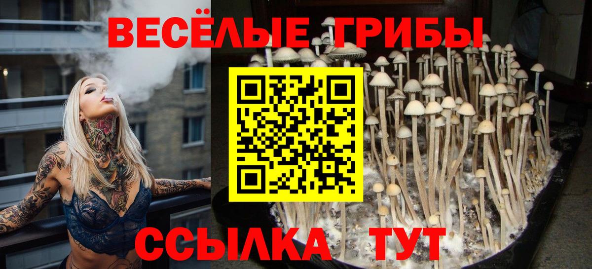 Галлюциногенные грибы MAGIC MUSHROOMS Кимовск