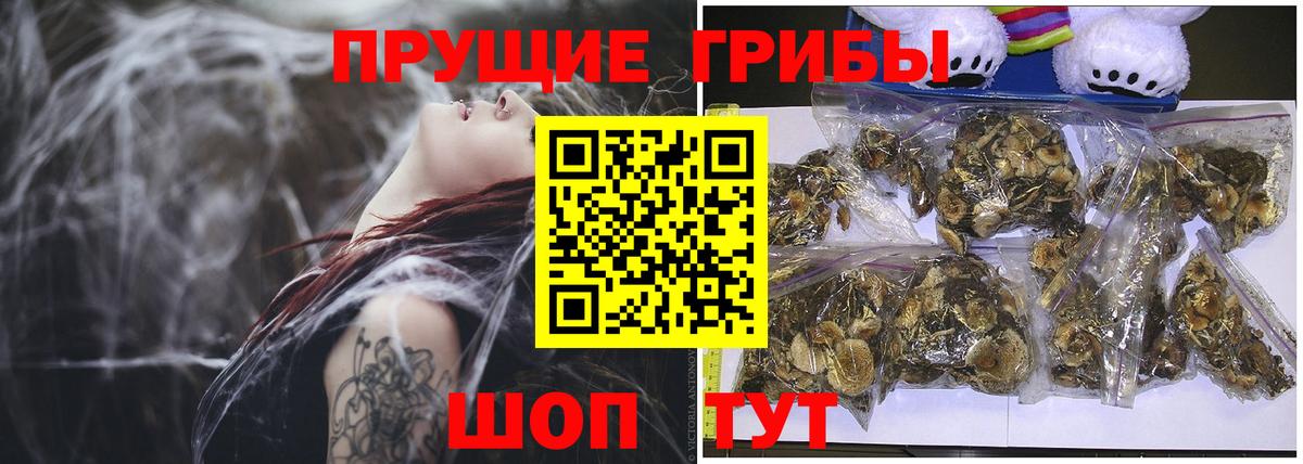 Галлюциногенные грибы ЛСД  Вход с VPN  Кимовск 