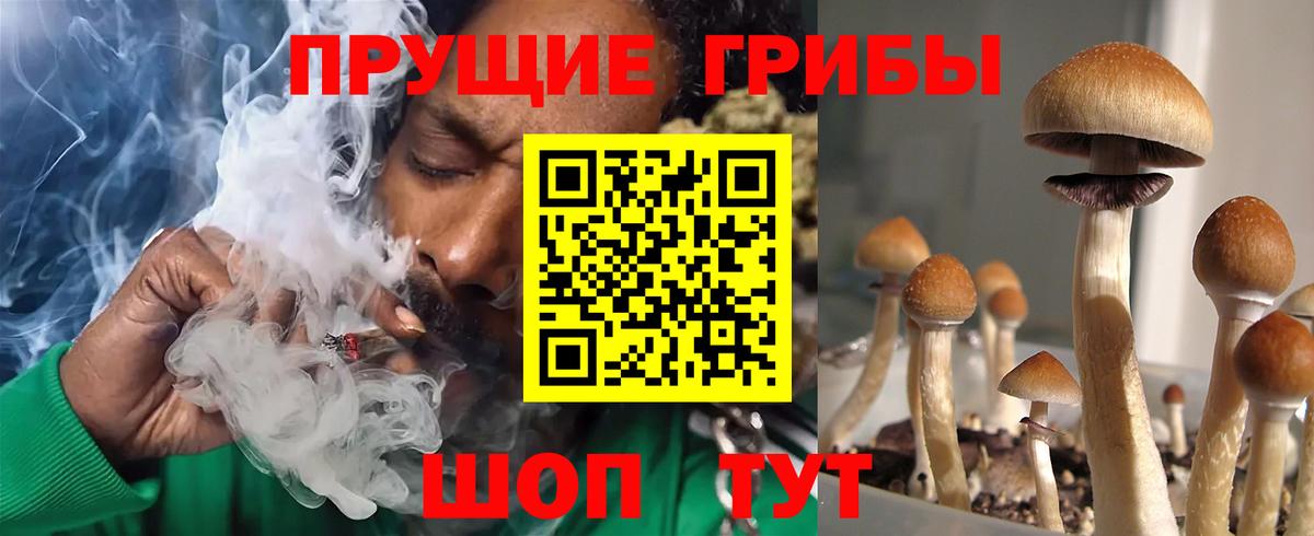NBOMe Кимовск